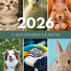 CALENDARIO LEZIONI 2026